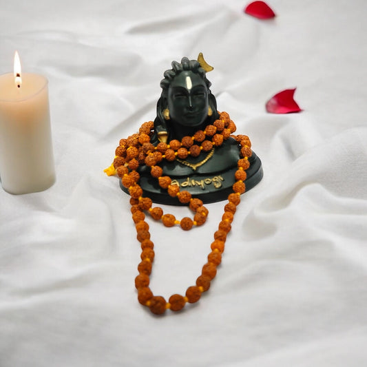 Original Rudraksha Mala – 108+1 Beads Panchmukhi